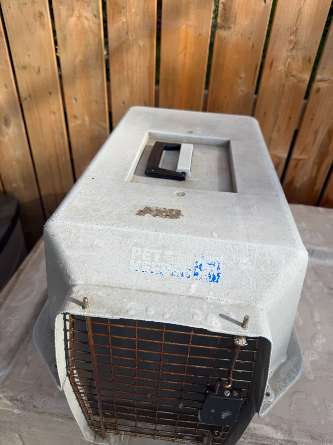 Petmate Pet Carrier