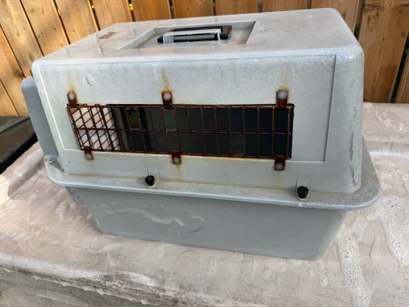 Petmate Pet Carrier - photo 5