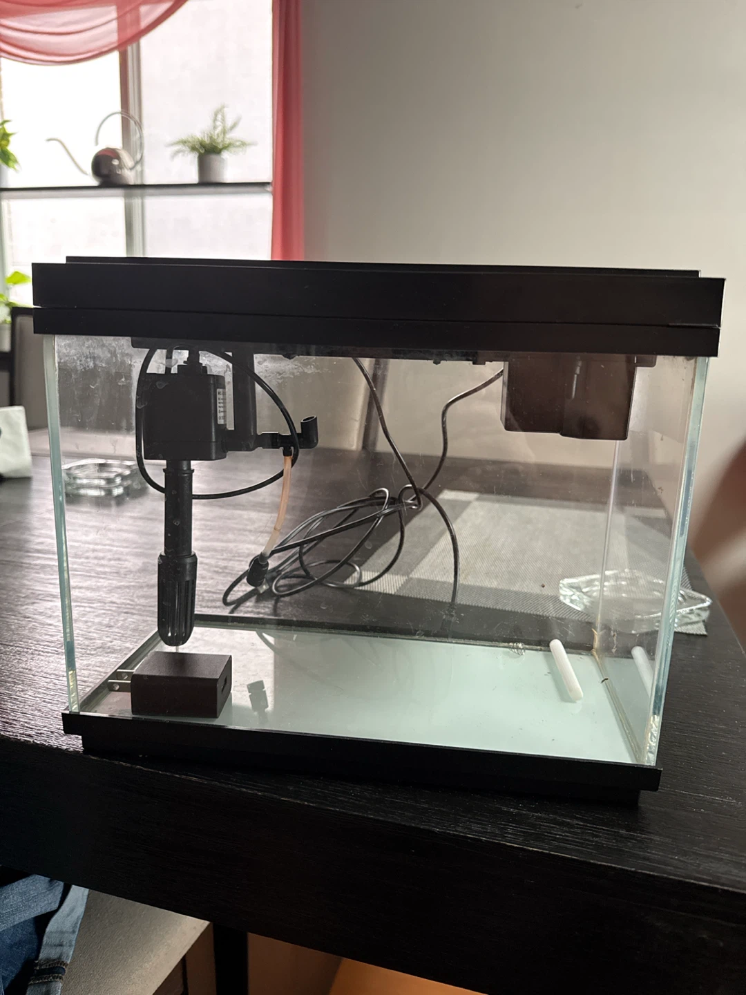 2 1/2 gallon fish tank
