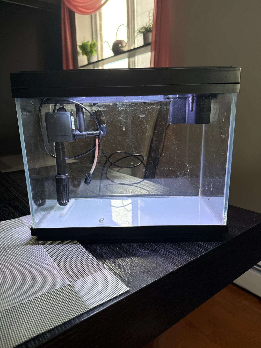 2 1/2 gallon fish tank - photo 3