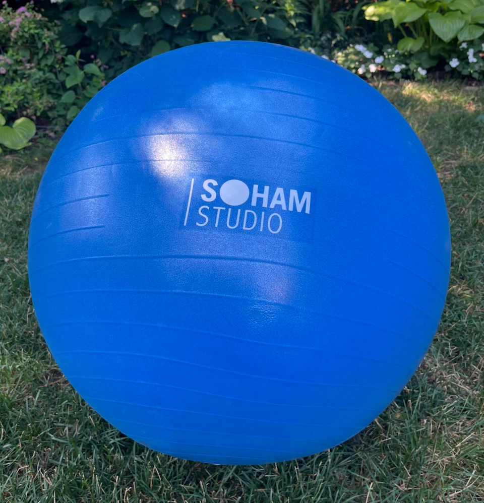 65 cm SOHAM Studio Stability Exercise Ball with Pump