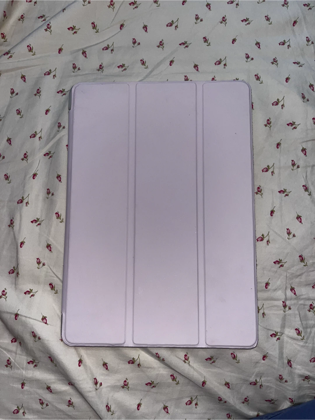 Apple iPad