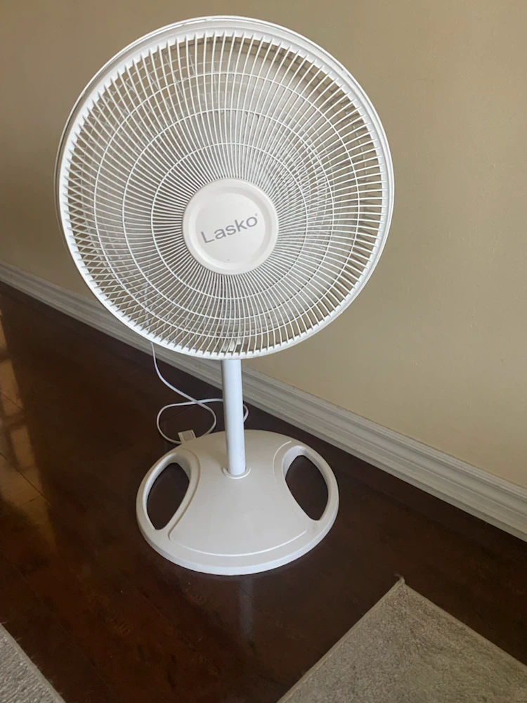 Lasko Pedestal Fan