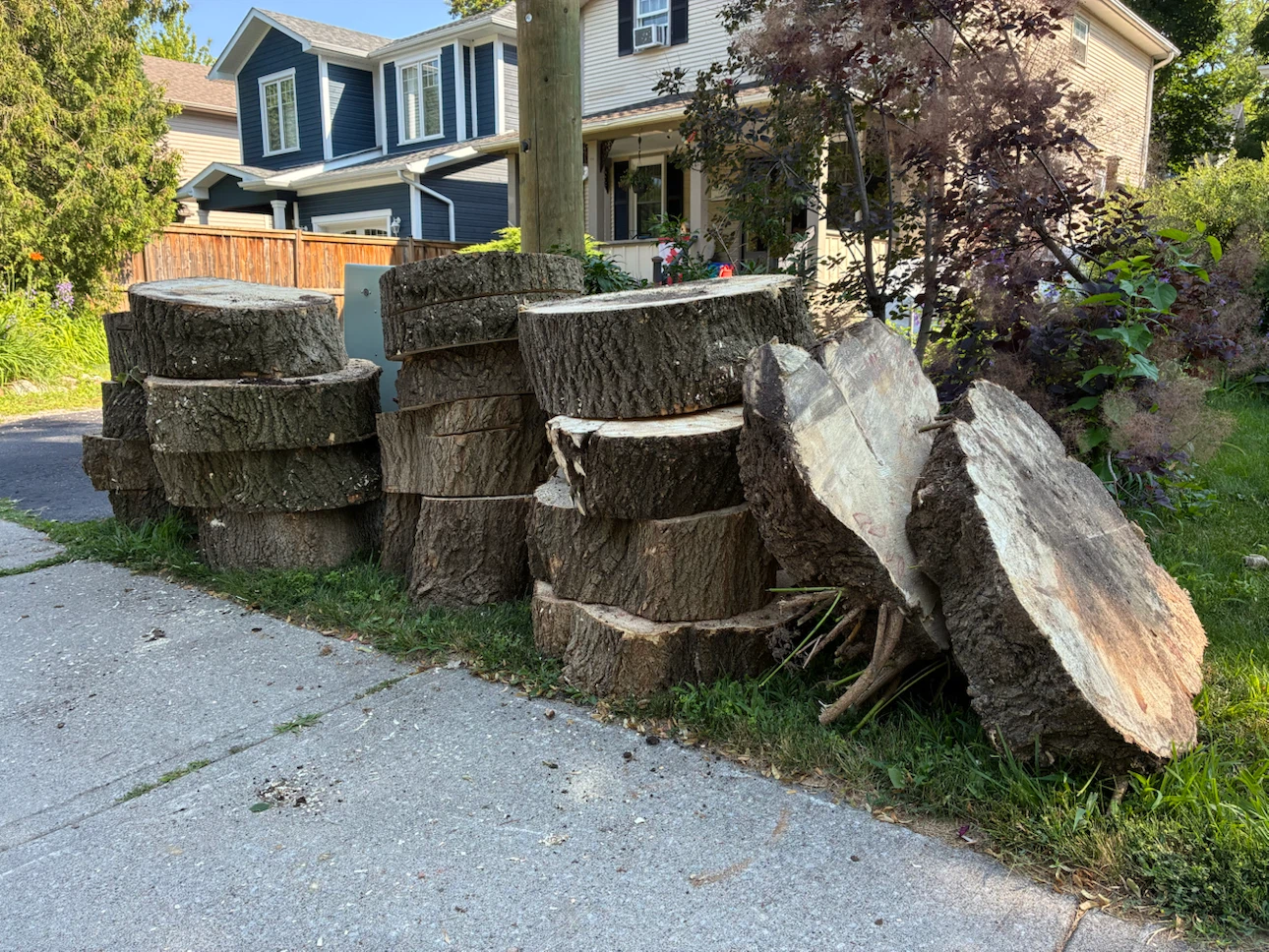 Free wood