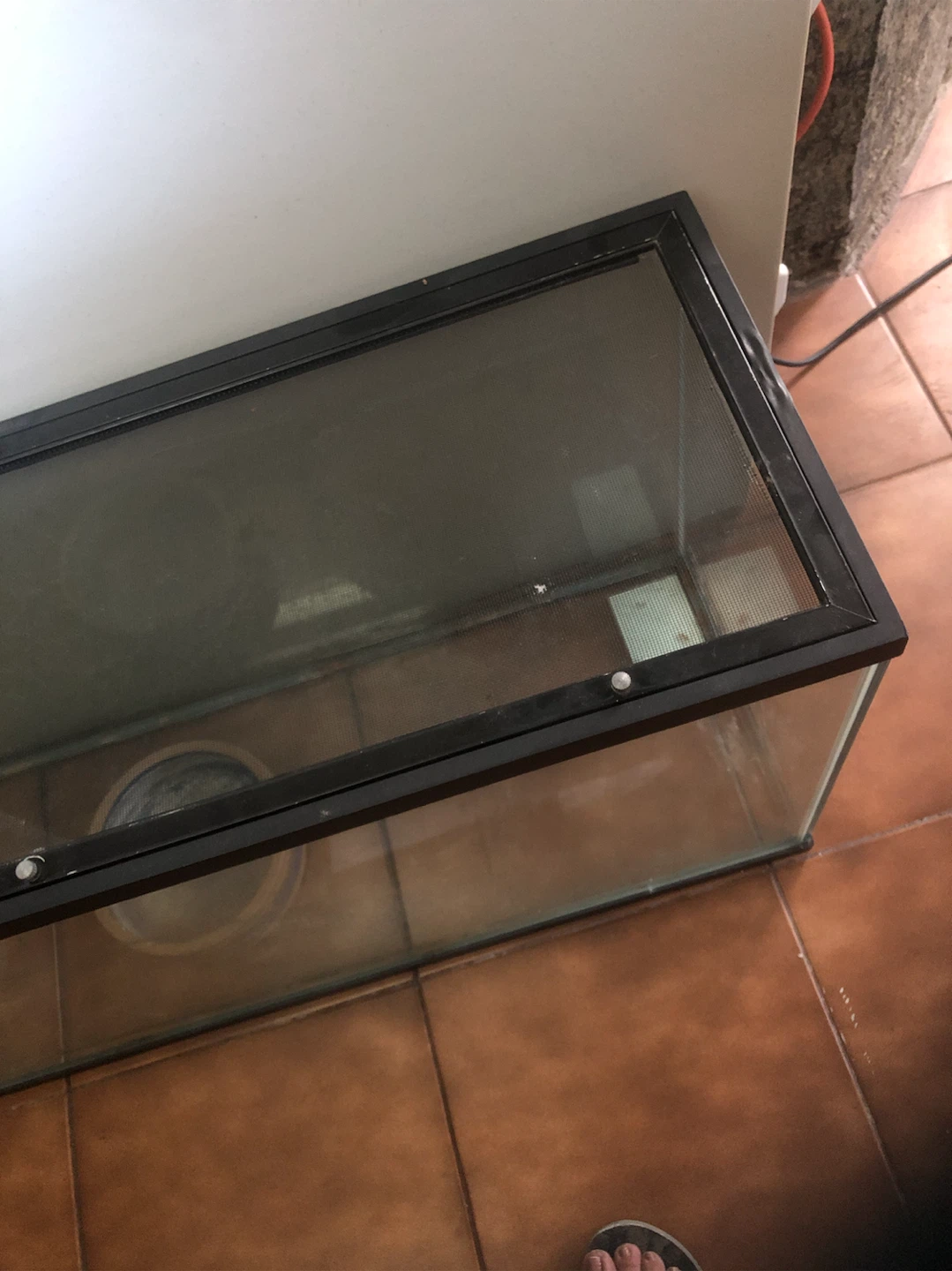 Terrarium Tank