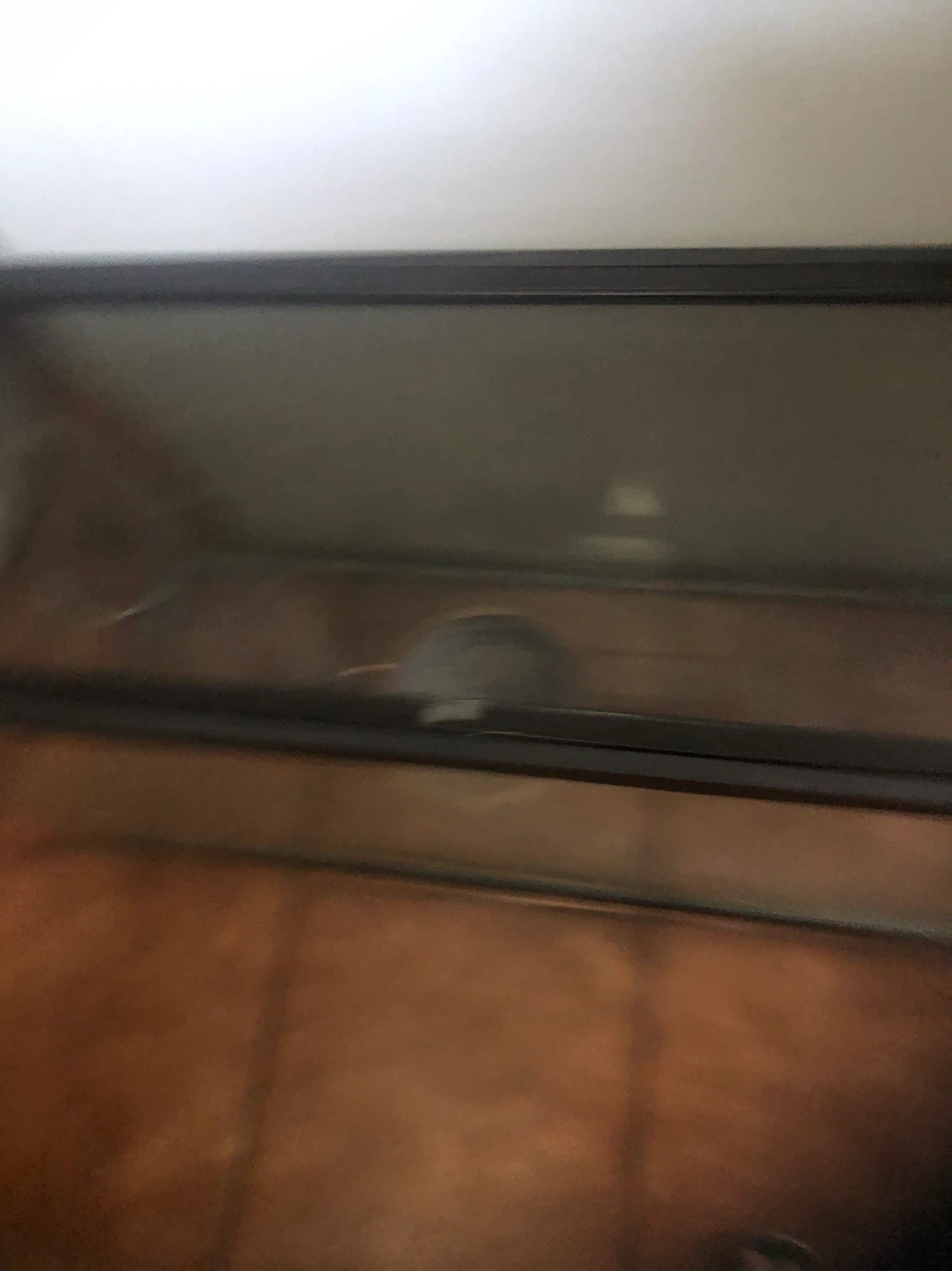 Terrarium Tank - photo 2