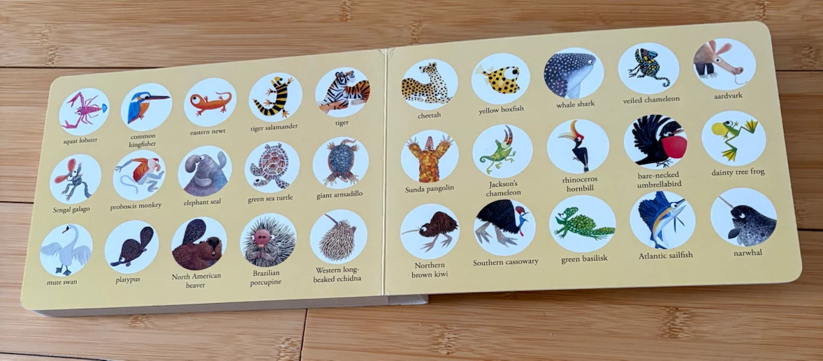 Hello Hello Board Book by Brendan Wenzel - photo 4