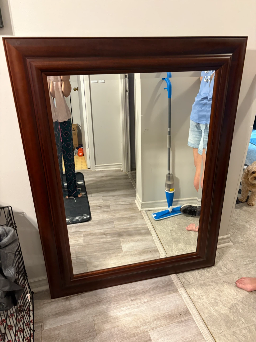 Large Framed Mirror - Wood Frame