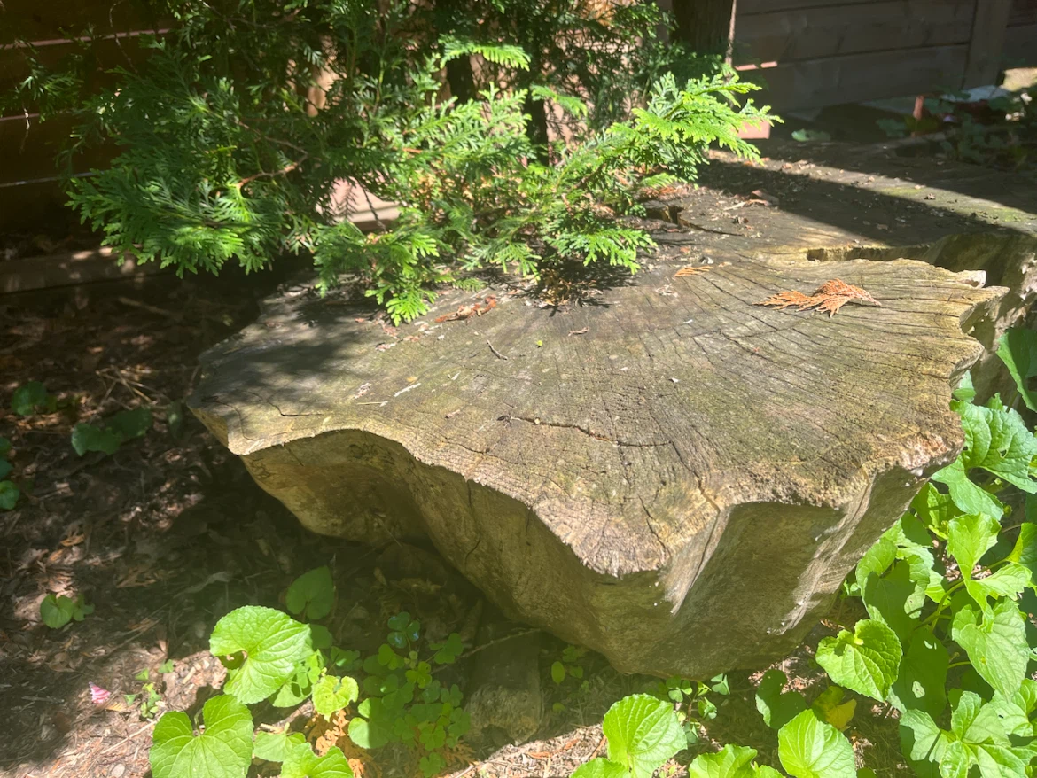 Large log pieces for garden decor