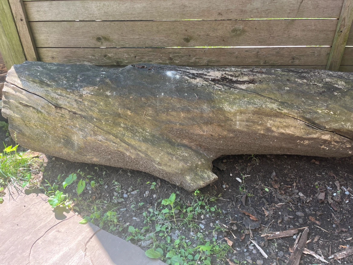 Large log pieces for garden decor - photo 3