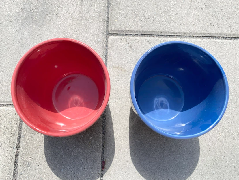 Red and Blue Ceramic Planters (2 for $5) - photo 2