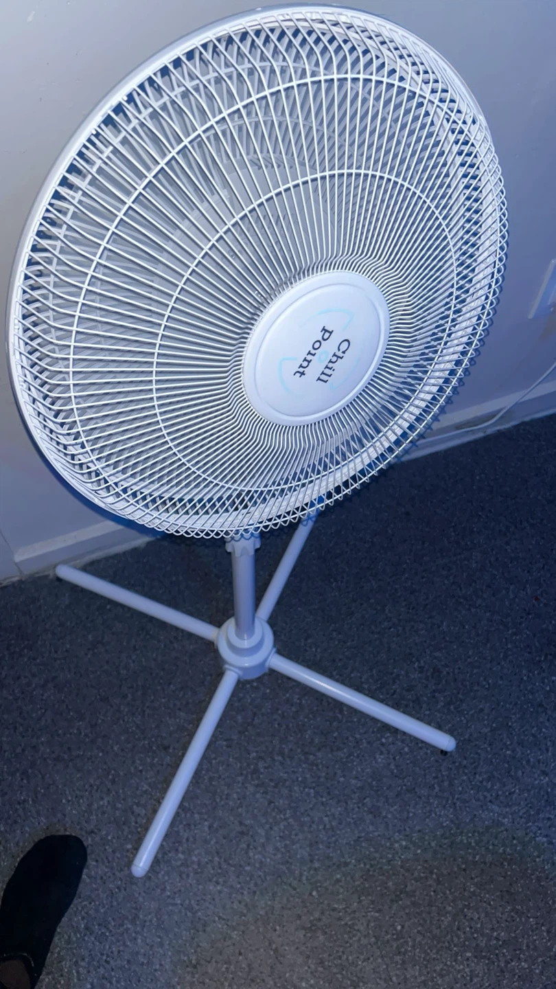 Chill Point White Pedestal Fan