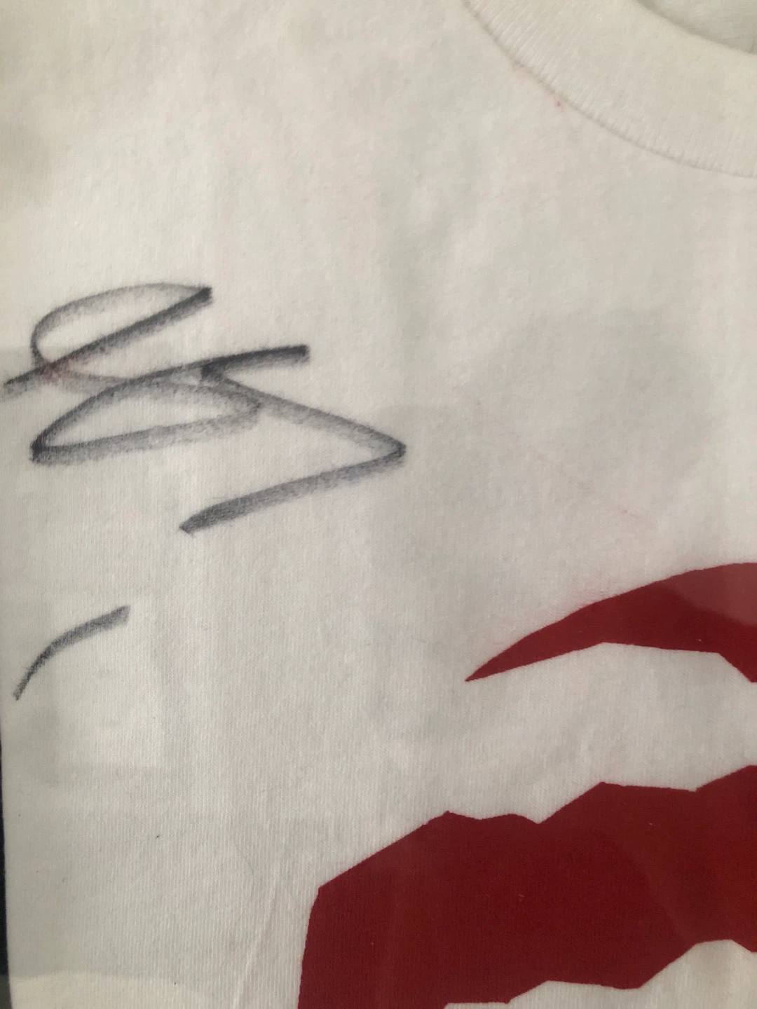 Toronto Raptors T-Shirt - Signed by Scotty Barnes - photo 2