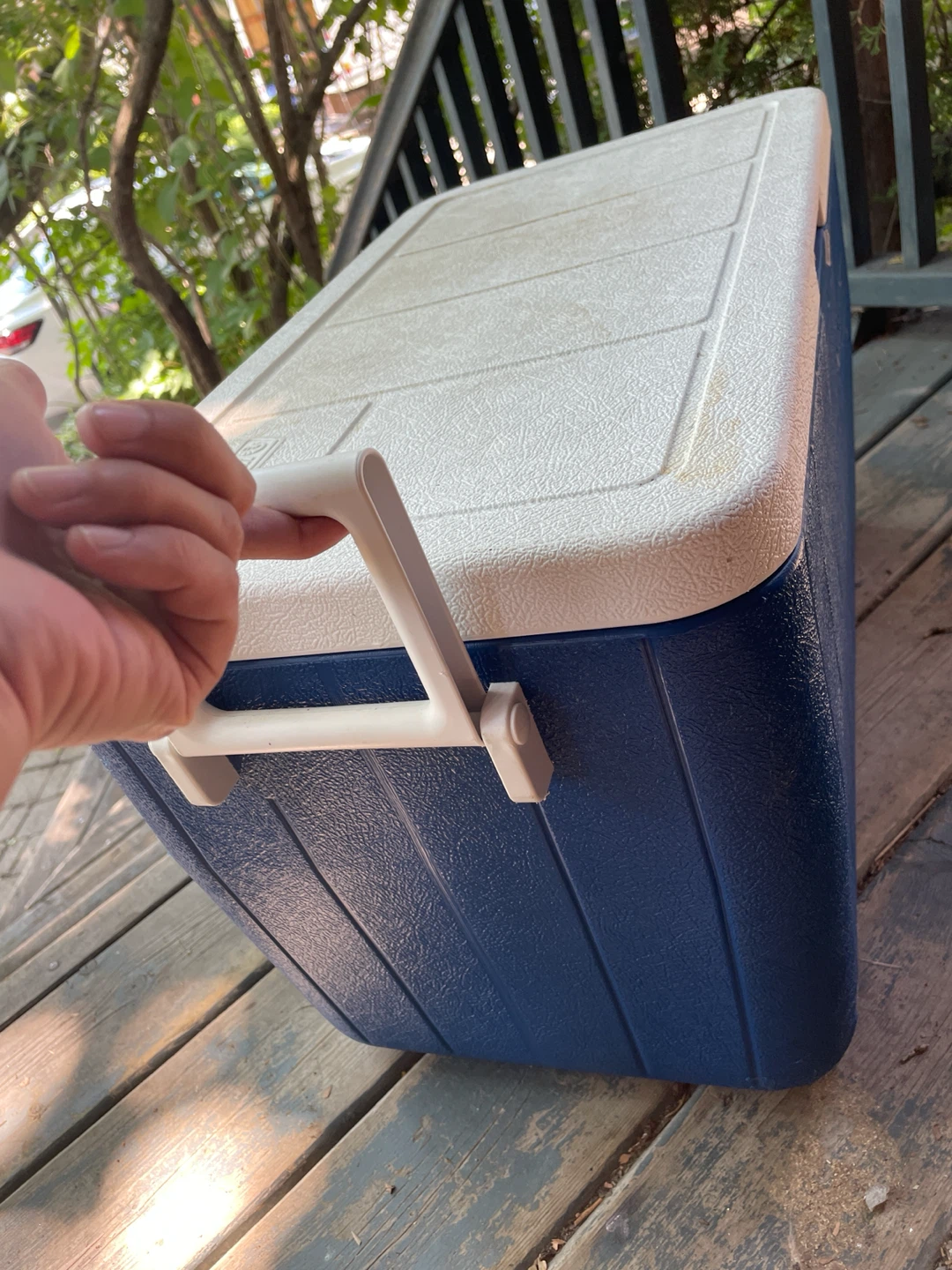 Coleman Large Cooler - photo 3