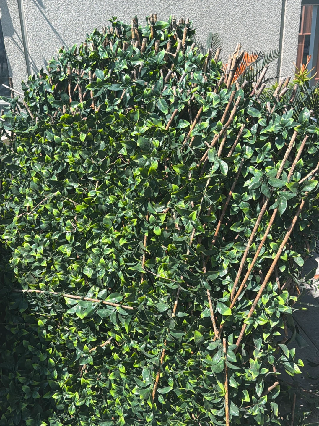 Artificial Boxwood Hedge Panel