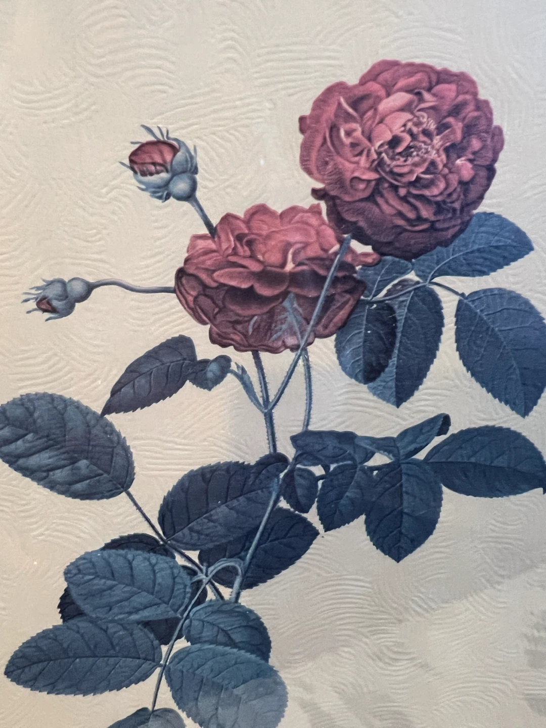 Vintage Framed Botanical Rose Art Print - photo 3