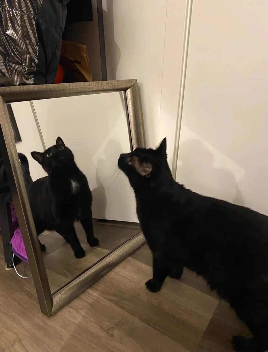Mirror, silver frame