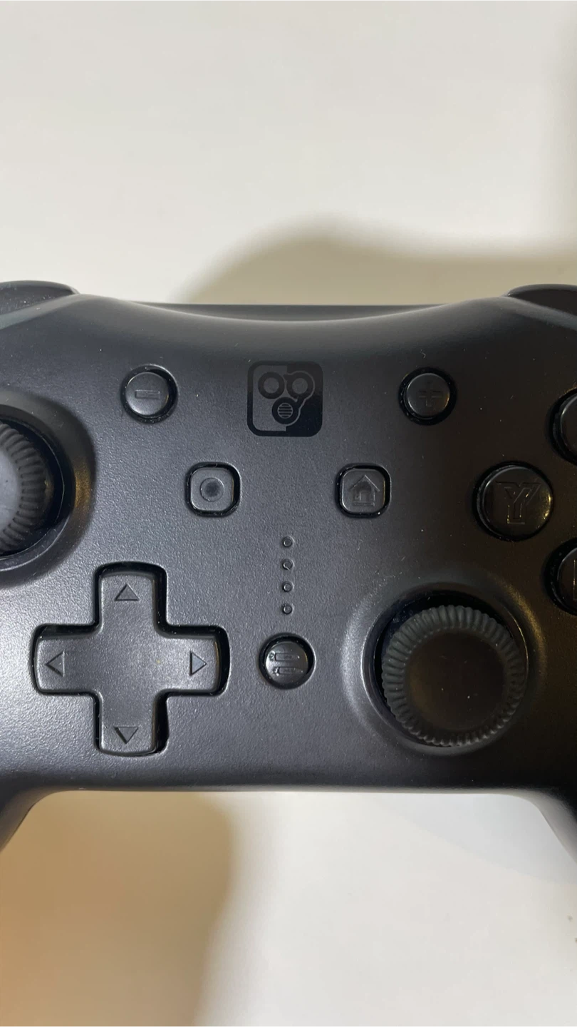 NS Pro Controller