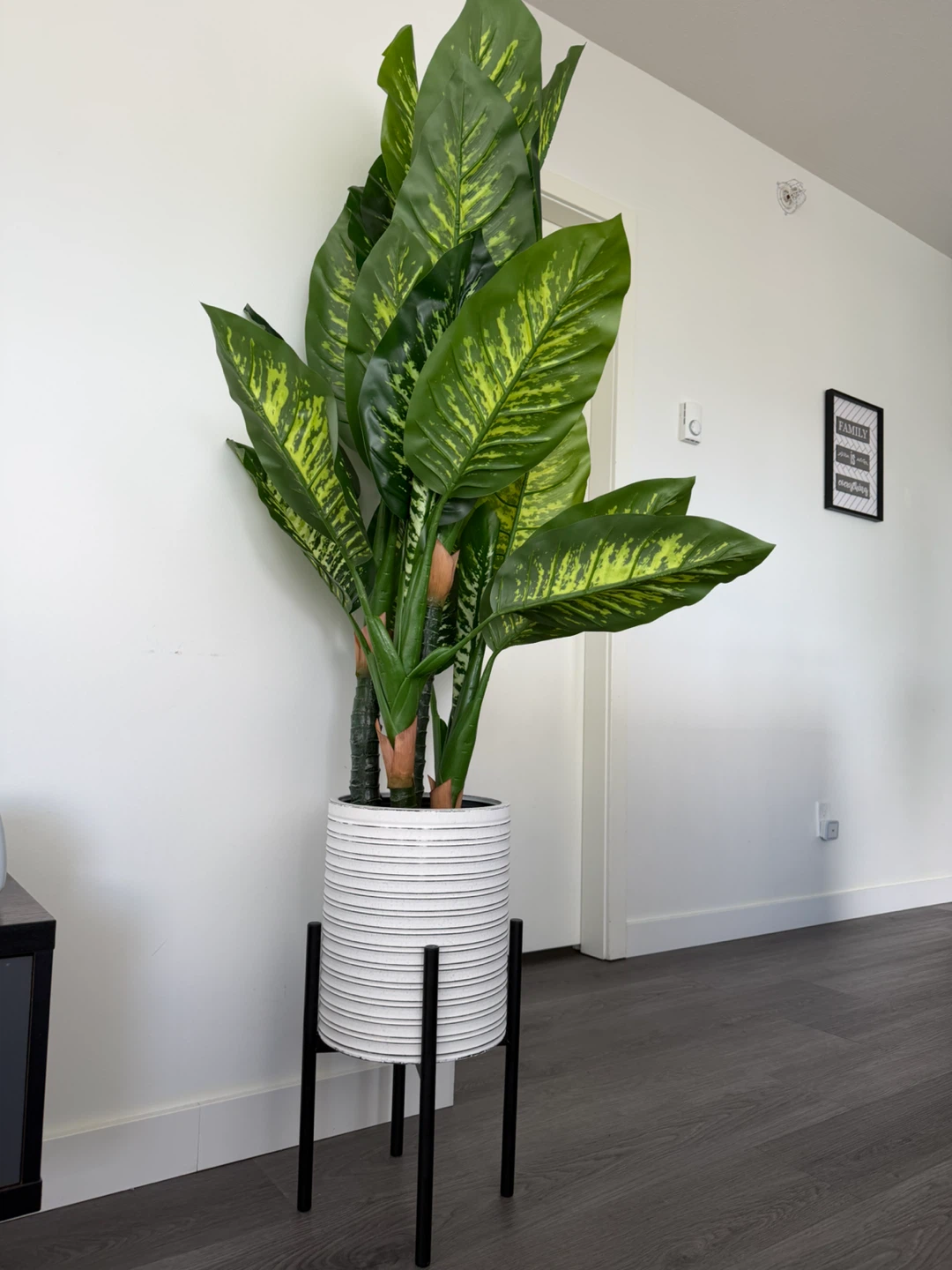 Large Faux Dieffenbachia Plant in White Striped Pot with Stand