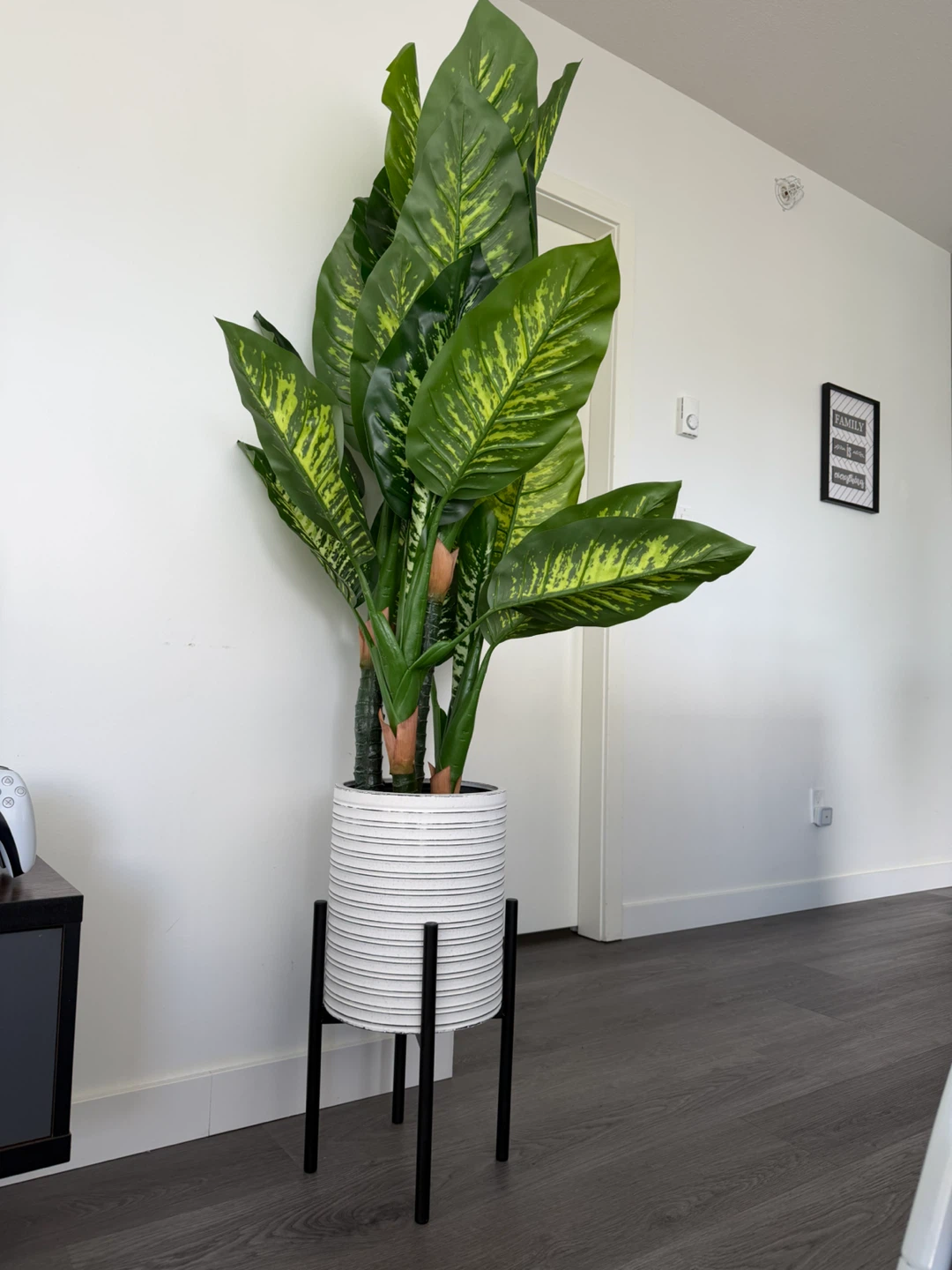Large Faux Dieffenbachia Plant in White Striped Pot with Stand - photo 2