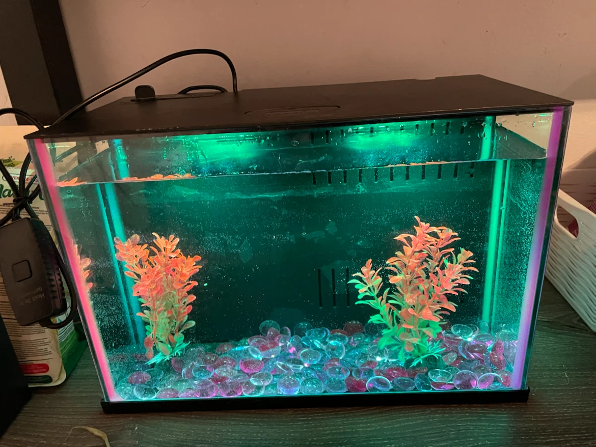 3 Gallon Fish Tank Top Fin Glass