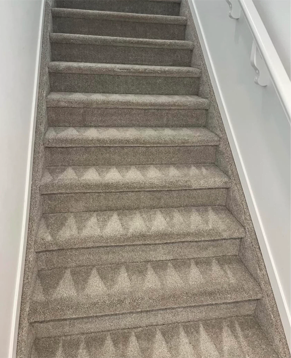 Carpet shampoo steam cleaning
