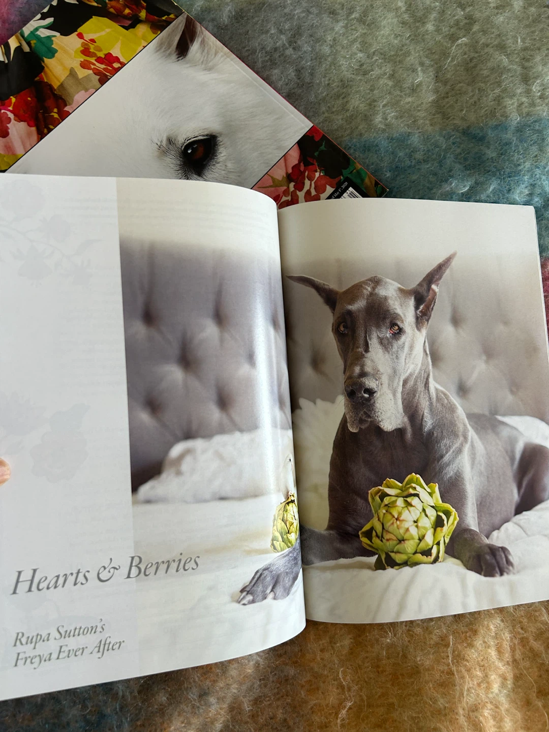 Book - magazine collection - photo 3