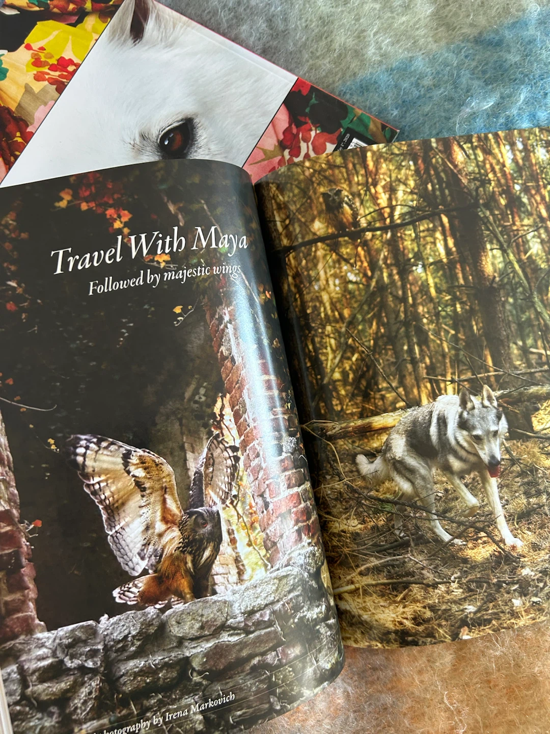 Book - magazine collection - photo 4