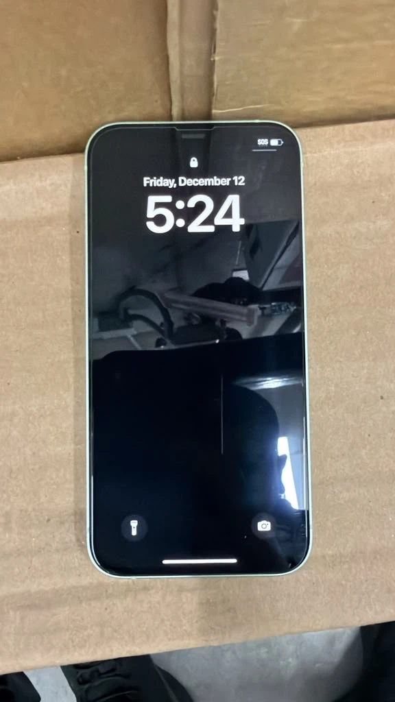 Apple iPhone 12 Mini (Mint) - photo 4