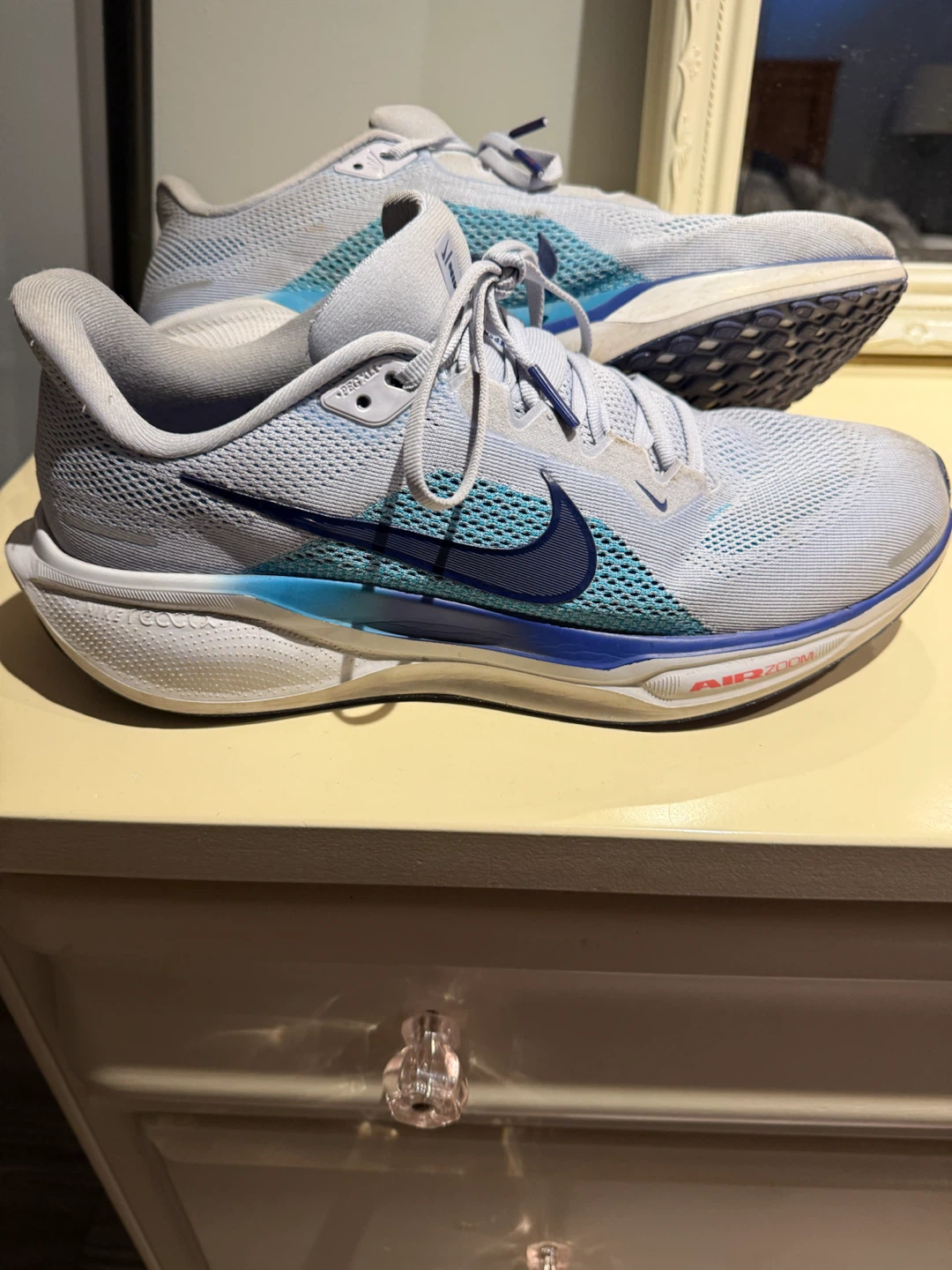 Nike Pegasus 41 Men’s Size 10