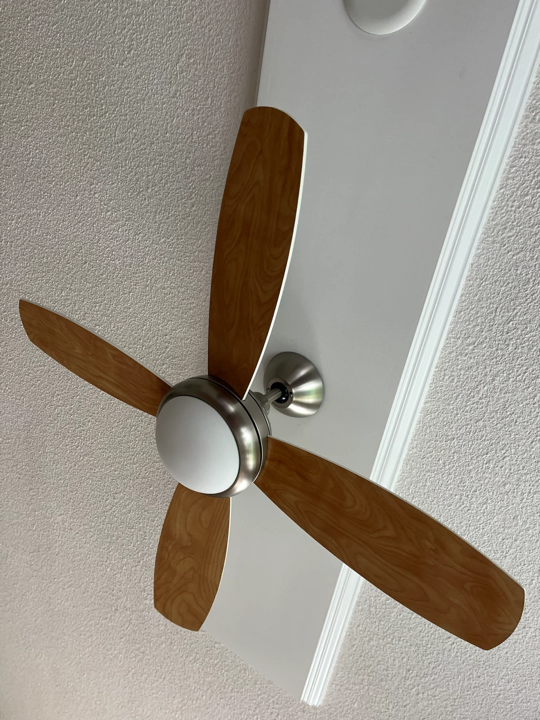 Ceiling fan