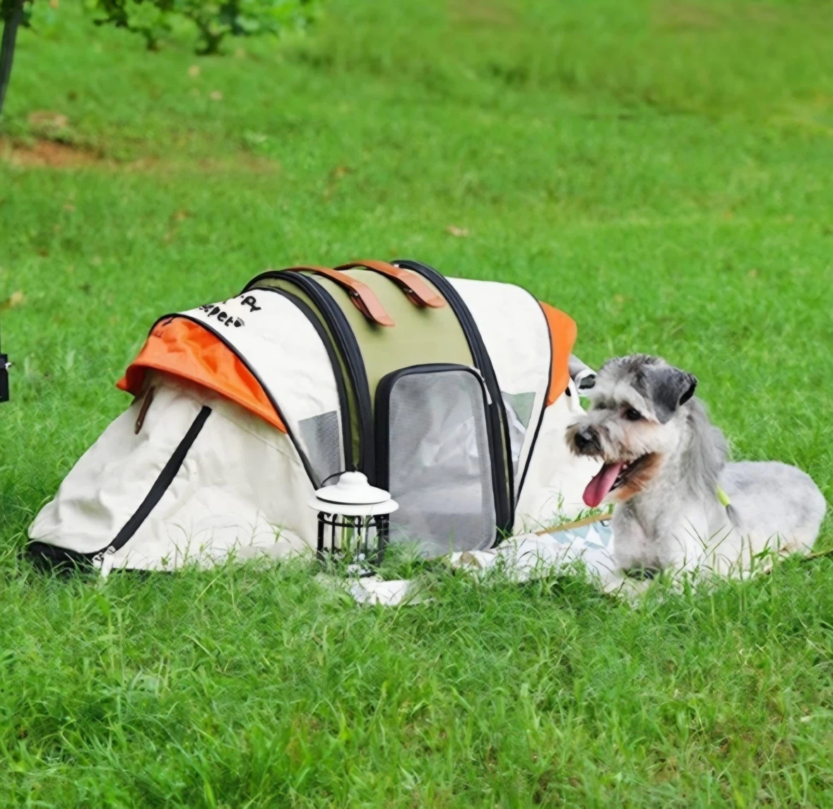 Dog camping bag