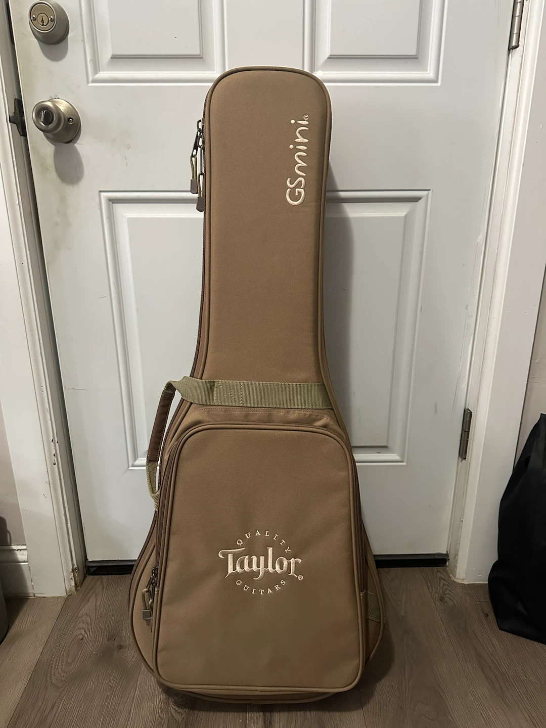 Taylor GS Mini Acoustic Guitar with Gig Bag
