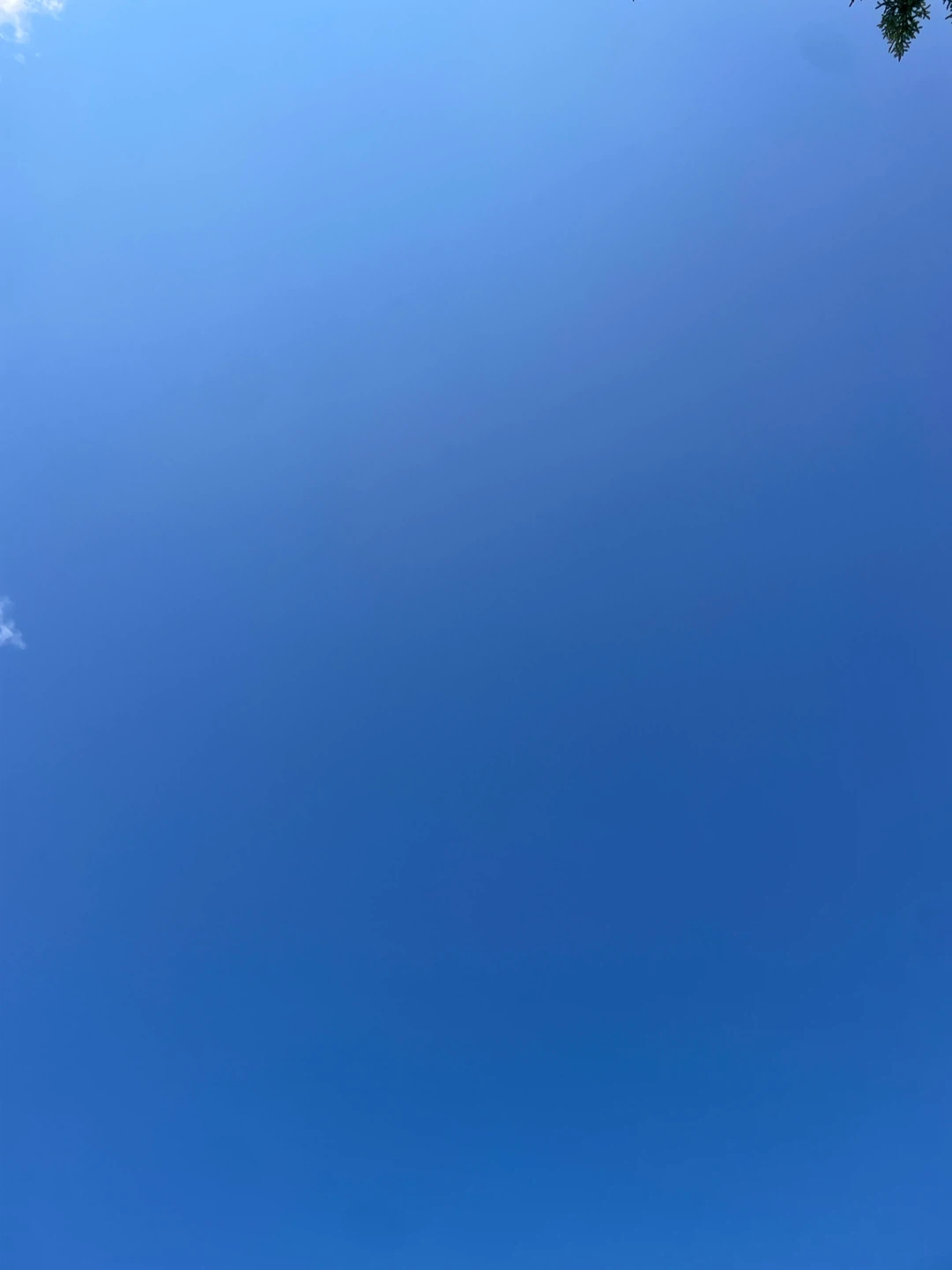 Air - photo 2
