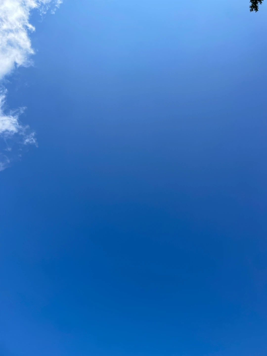 Air - photo 3