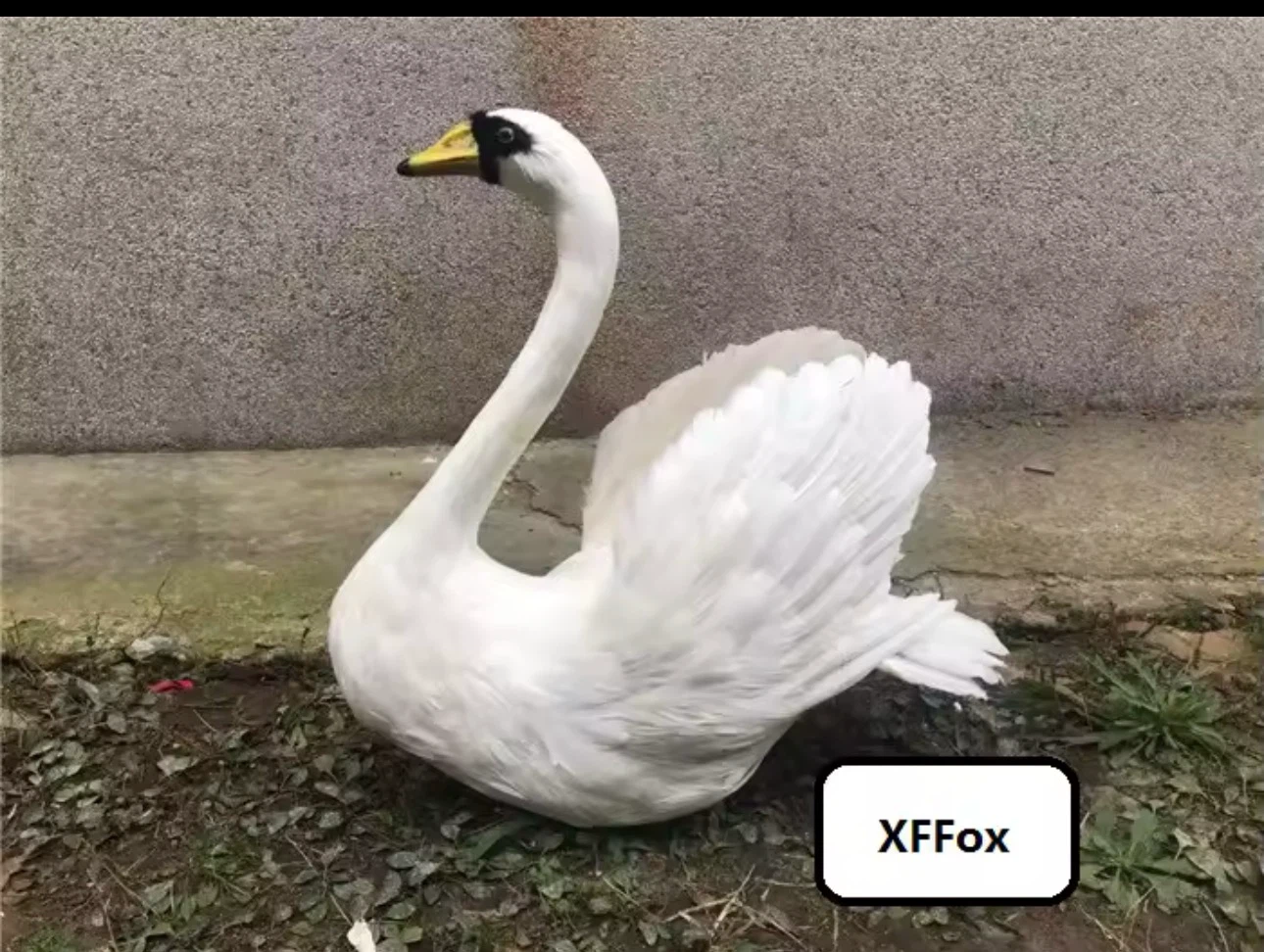 White Feather Swan Decoration