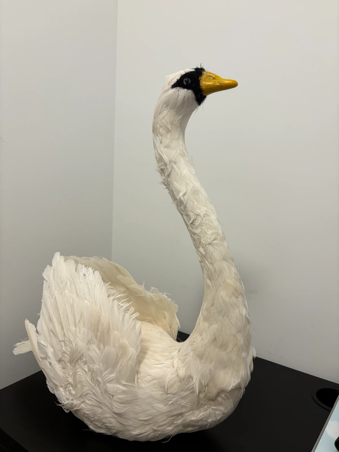 White Feather Swan Decoration - photo 3