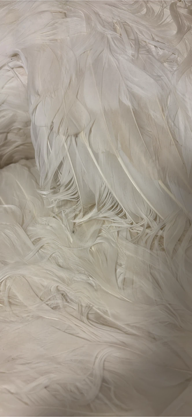 White Feather Swan Decoration - photo 5