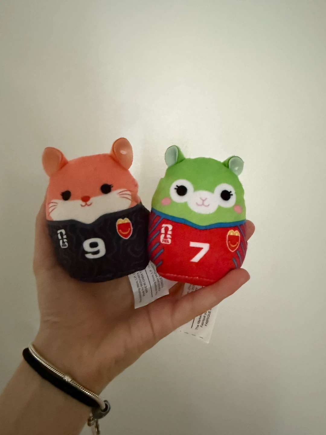 Squishmallows Jim and Erica Plush Toys
