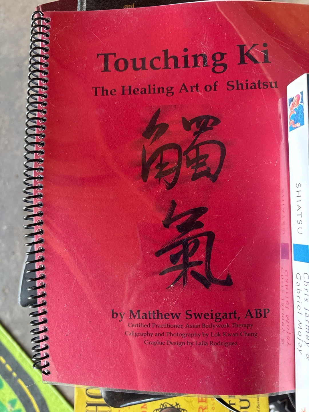 Touching Ki: The Healing Art of Shiatsu Book by Matthew Sweigart - photo 2