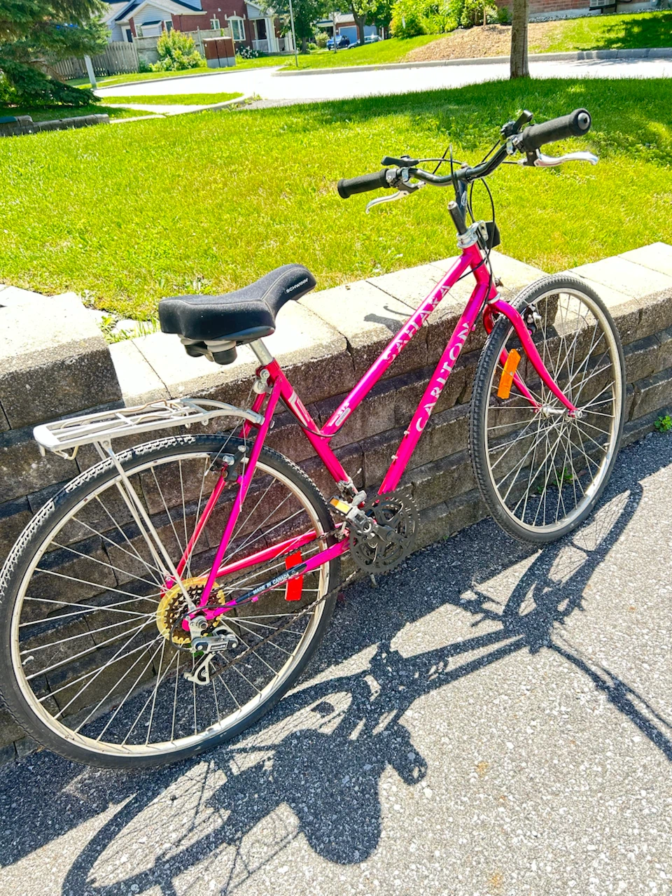 Carlton Ladies Mountain Bike
