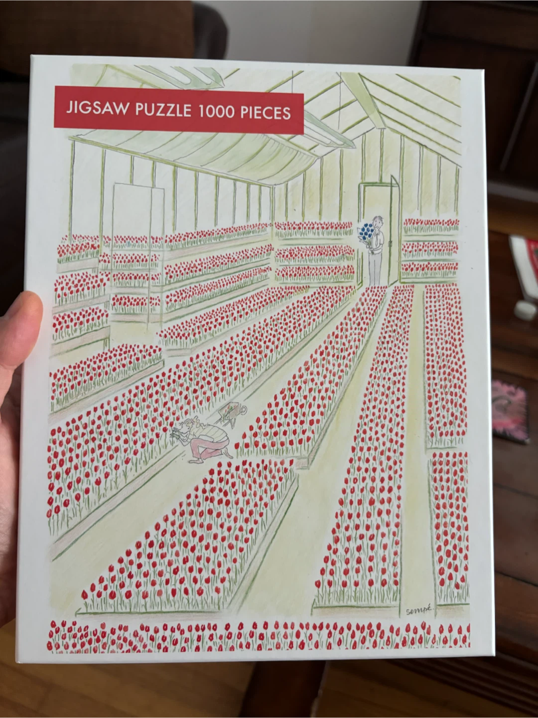Image Republic Tulipes Jigsaw Puzzle - 1000 Pieces