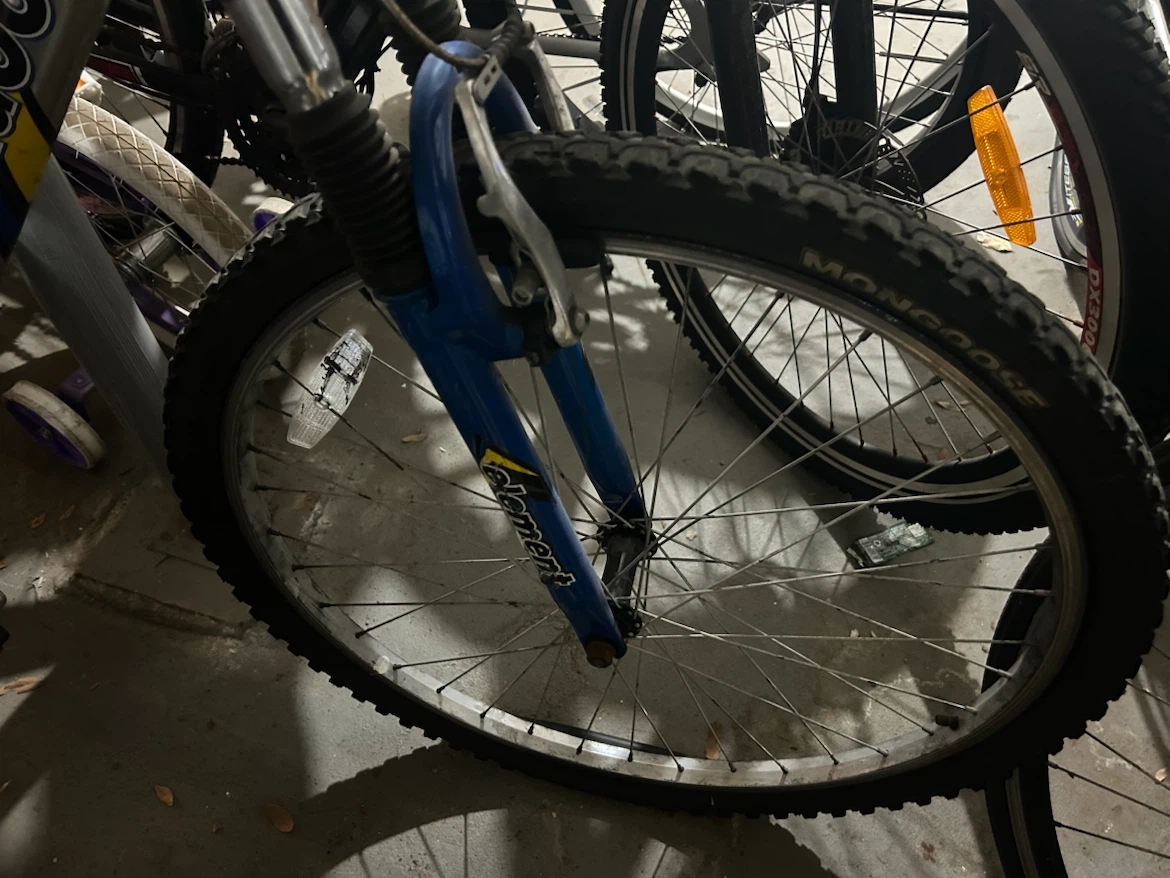Mongoose Mountain Bike