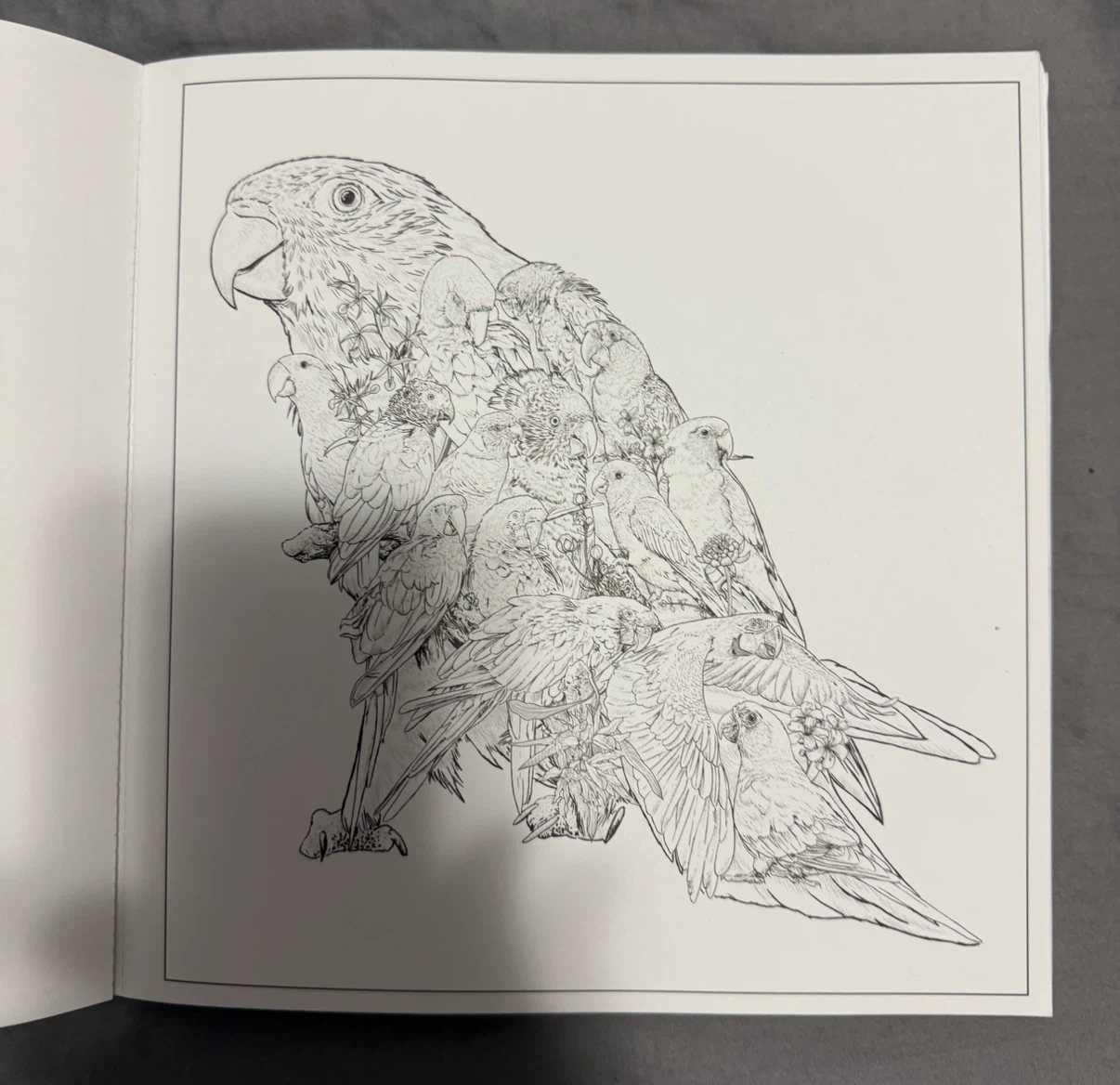 Imaginaria In The Wild Coloring Book by Simon Mendez (Used) - photo 2