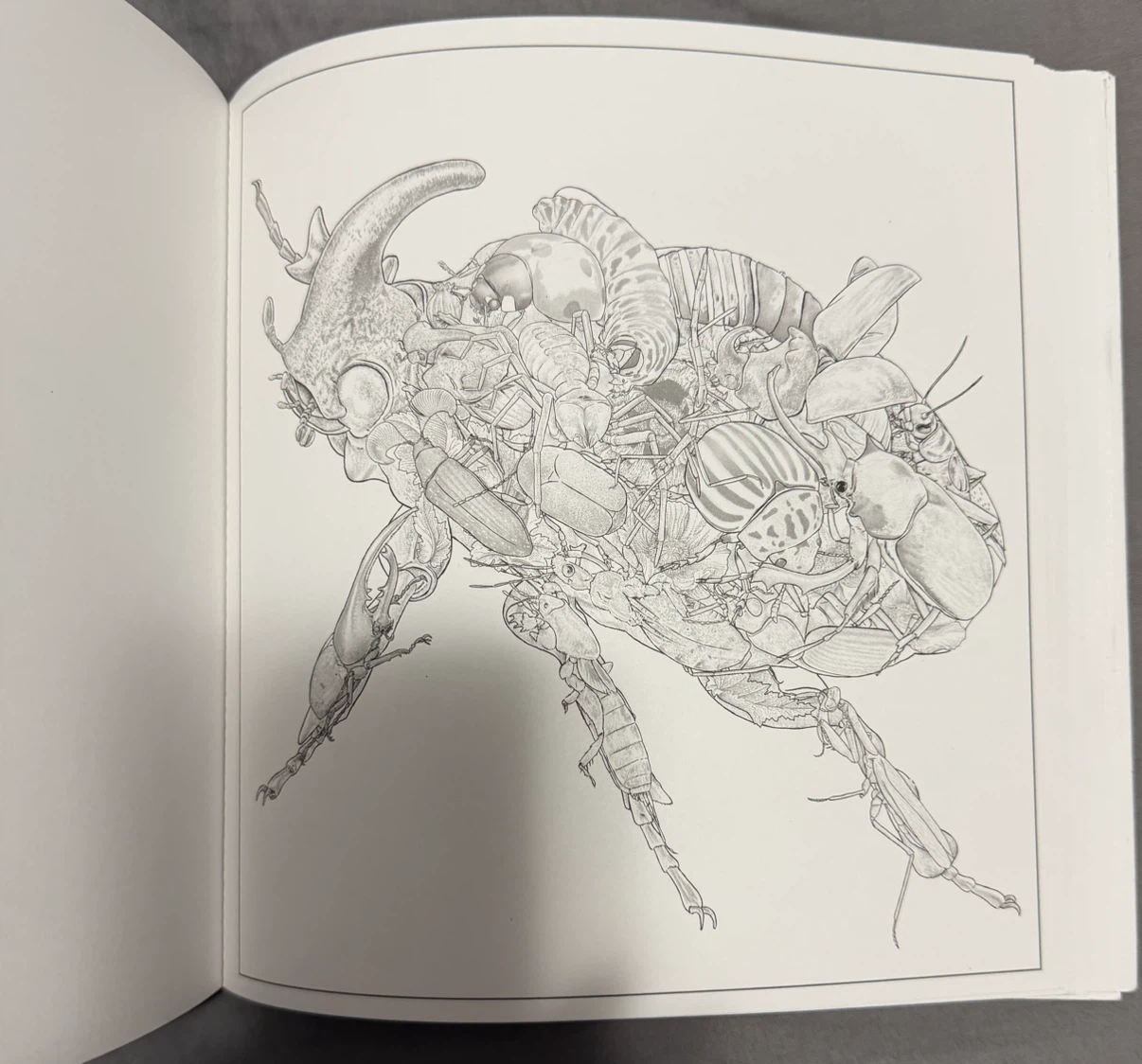 Imaginaria In The Wild Coloring Book by Simon Mendez (Used) - photo 3