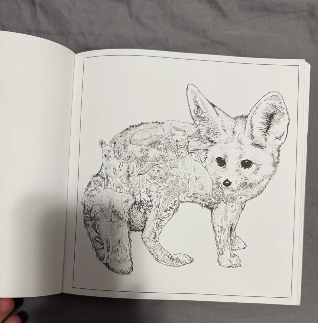 Imaginaria In The Wild Coloring Book by Simon Mendez (Used) - photo 4