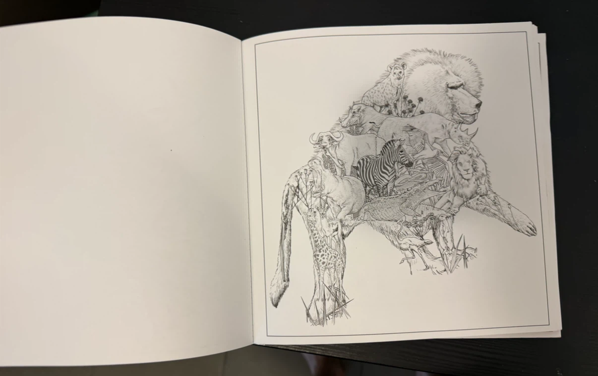Imaginaria In The Wild Coloring Book by Simon Mendez (Used) - photo 5
