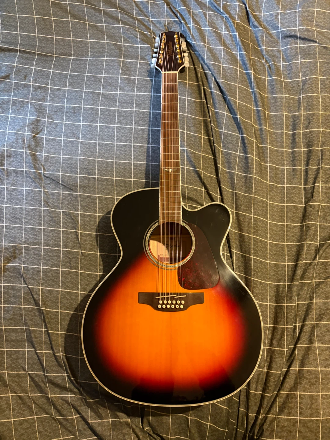 Takamine 12 String Acoustic Electric Guitar
