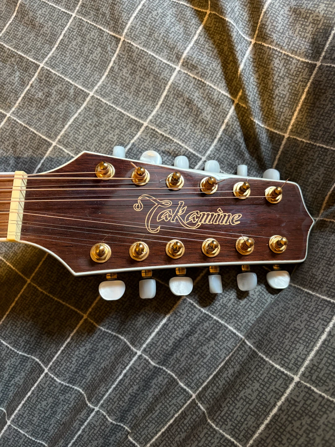 Takamine 12 String Acoustic Electric Guitar - photo 2