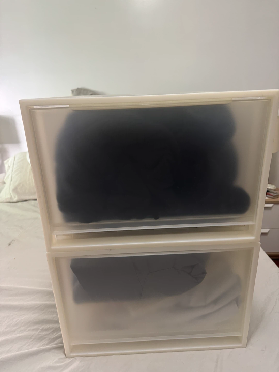2 Muji Polypropylene Storage Closet Drawer - Large